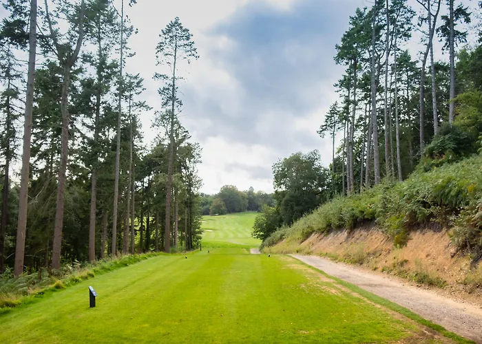 Golf hotel: Hilton Southampton - Utilita Bowl